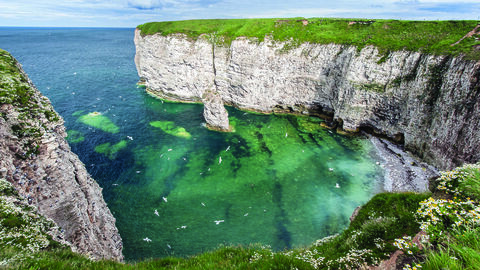 Flamborough Cliffs (credit: George Stoyle)