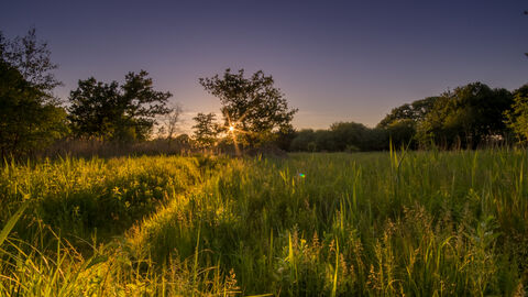 Sunlight over Askham Bog