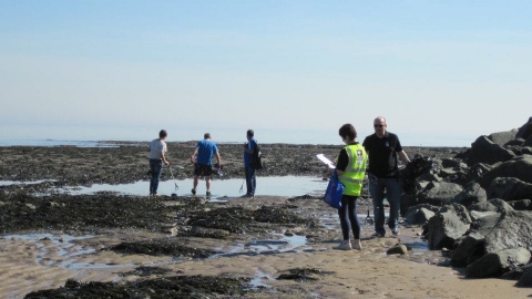 Beach Clean Scarborough