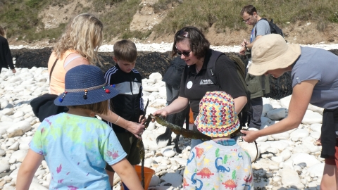 Seashore Detective event Yorkshire Wildlife Trust