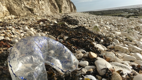 Marine litter