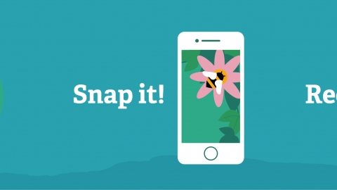 Spot it snap it record it icon