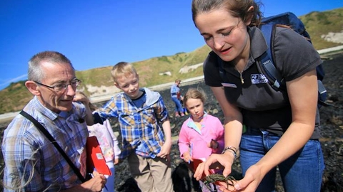 Seashore Safari