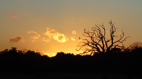 Sunset over Carr Lodge © Lynda Christou 2020