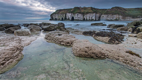 Flamborough Cliffs from Thornwick Bay