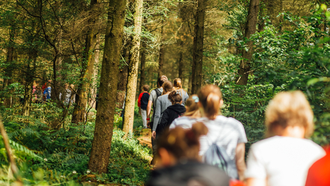 People in woodland walking away from camera