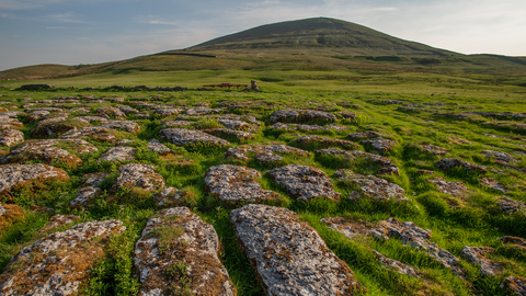 Limestone pavement (Wild Ingleborough)