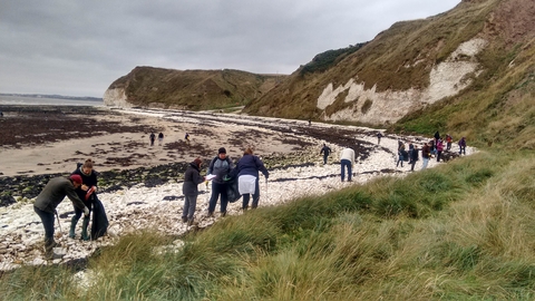 South Landing beach clean