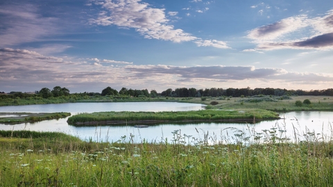 View across North Cave Wetlands