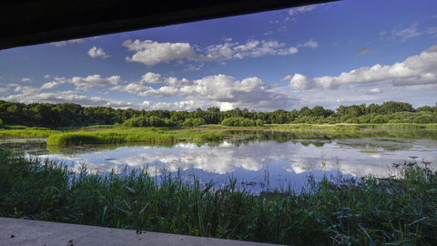 A view of a wetland at Potteric Carr Nature Reserve.