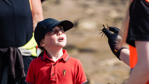 Image of child looking up in wonder at a small crab