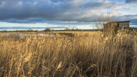 A cloudy sky above the swantail hide at Wheldrake Ings nature reserve. Photo by John Potter