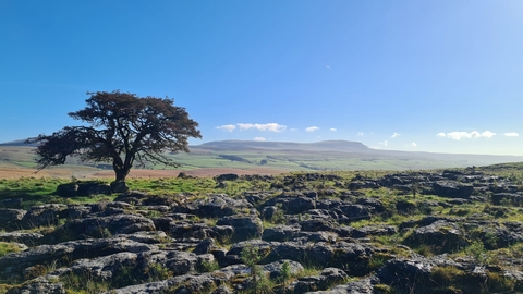 A landscape photograph of Ashes Shaw. Image by Liz Coates.