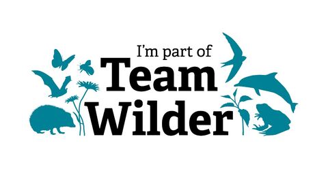 I'm part of Team Wilder logo