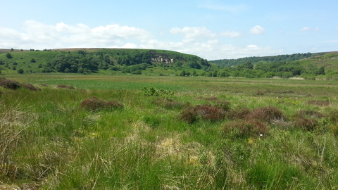 Tussocky moorland in the foreground with hills in the background.