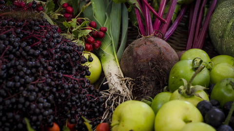 Image showing a harvested collection of fruit and vegetables including apples, leeks and squash