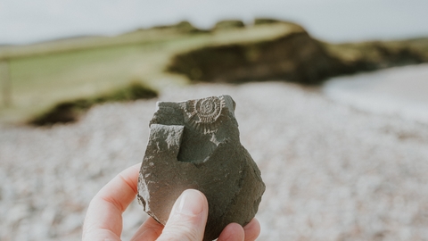 Image of a hand holding a fossil up in front of a pebble beach