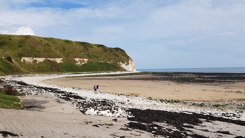 Filey Brigg Rockpooling, Howard Roddie