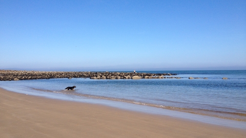 Cayton Bay