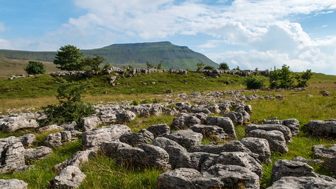 A landscape photograph showing Ingleborough mountain in the distance and a limestone pavement in the foreground.