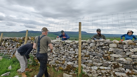 group of people drystone walling in the Yorkshire Dales