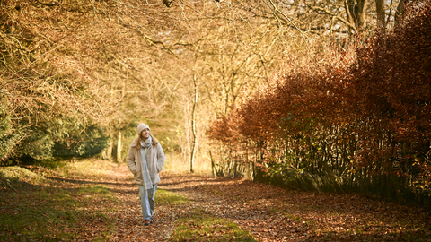 Woman walking in an autumnal woodland