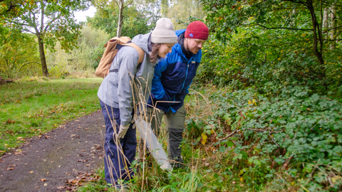 Visitors looking at fungi in the grass verge