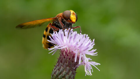 Jon Hawkins – Surrey Hills Photography