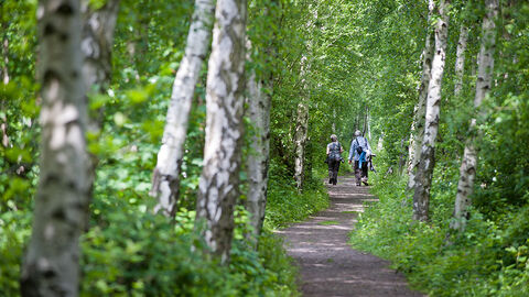 Two people walking through a woodland