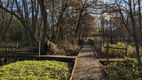 image of the boardwalk