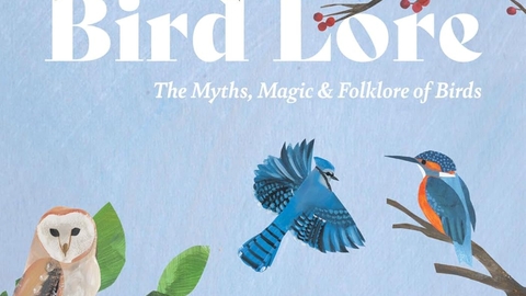 Bird lore book on a pale blue background with images of birds