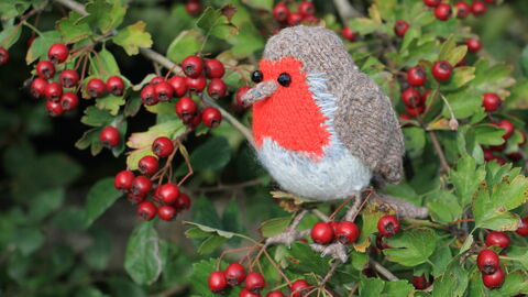 Knitted Robin