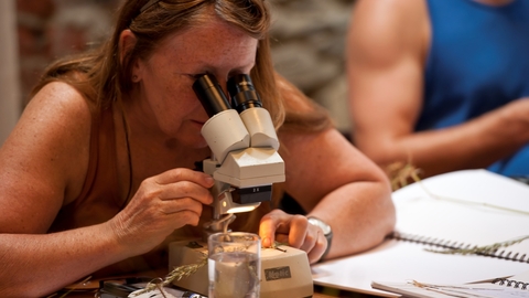Person with long brown hair looking into microscope at a plant