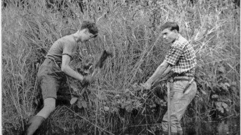 Two men are working together in the water, using shovels to complete their task.