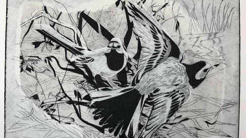 collagraph print of birds