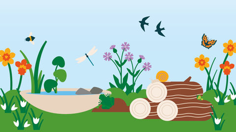 illustration of a wildlife garden with a container pond, flowers and log pile