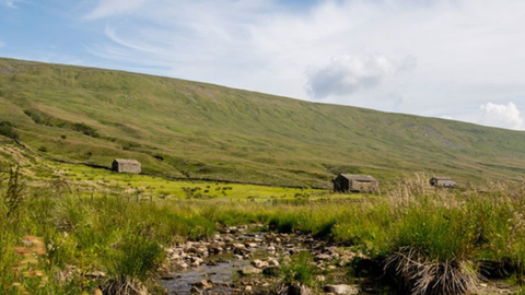 A rural landscape featuring a small stream flowing through grassy moorland with distant stone-built structures and rolling green hills under a blue sky with scattered clouds, overlaid with event logos for "Ground Nest Fest", "Woodland Trust", and "Yorkshire Peat Partnership".