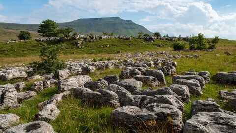 A limestone pavement landscape with weathered grey rocks and green grass, under a partly cloudy blue sky, with a large, green, table-shaped mountain in the distance.