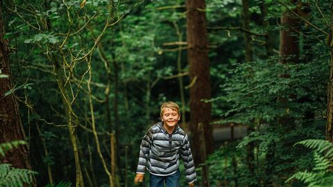 boy walking in a green woodland