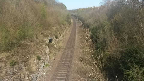 A railway line cuts through a woodland.