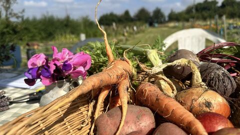 hand picked veg laid out in a basket on a table in an outdoor setting. There's a small bunch of flowers next to it on the table.