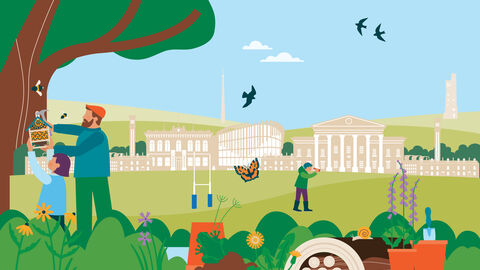 An illustration of Huddersfield surrounded by nature