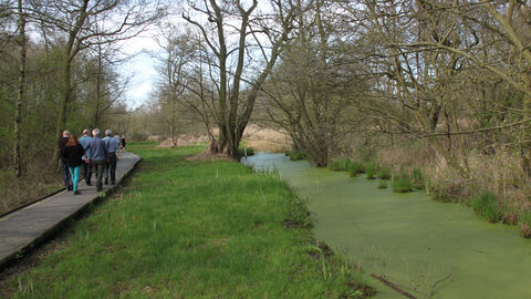 Guided Walk
