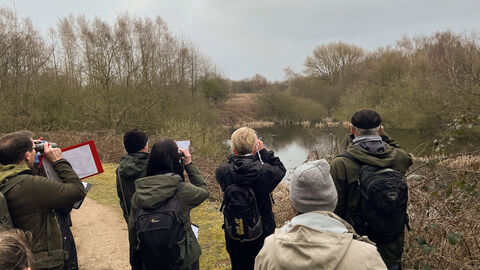 Bird spotting 