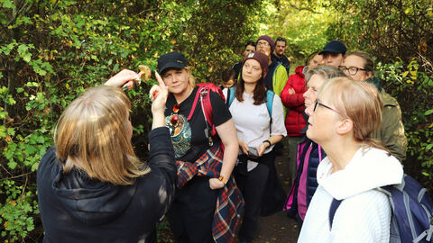 Fungi walk