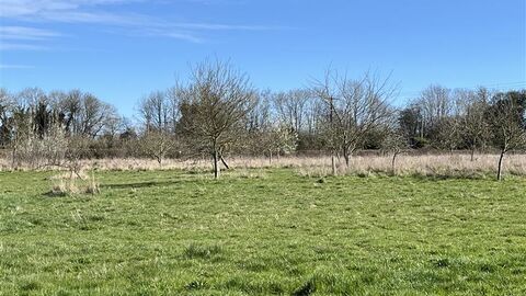 Community Orchard