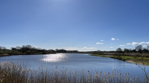 Wetland Lagoon