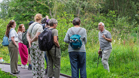 Guided Walk
