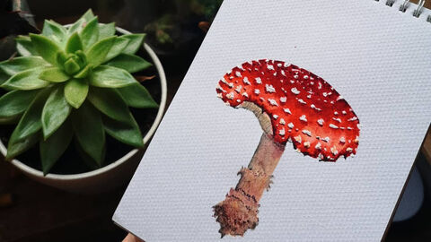 A red and white toadstool painting next to a potted plant