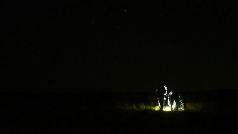 lantern lit people in the dark